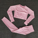 Women Seamless Fitness Sports Suits