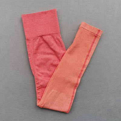 Women Ombre Seamless Gradient Suit