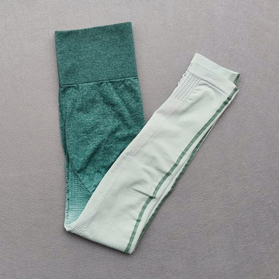 Women Ombre Seamless Gradient Suit