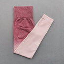 Women Ombre Seamless Gradient Suit