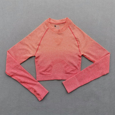 Women Ombre Seamless Gradient Suit