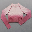 Women Ombre Seamless Gradient Suit