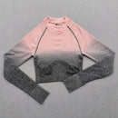 Women Ombre Seamless Gradient Suit