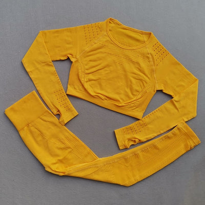 Ombre Seamless Women Sport Suit