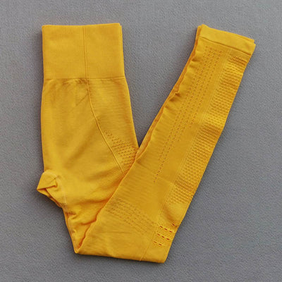 Ombre Seamless Women Sport Suit
